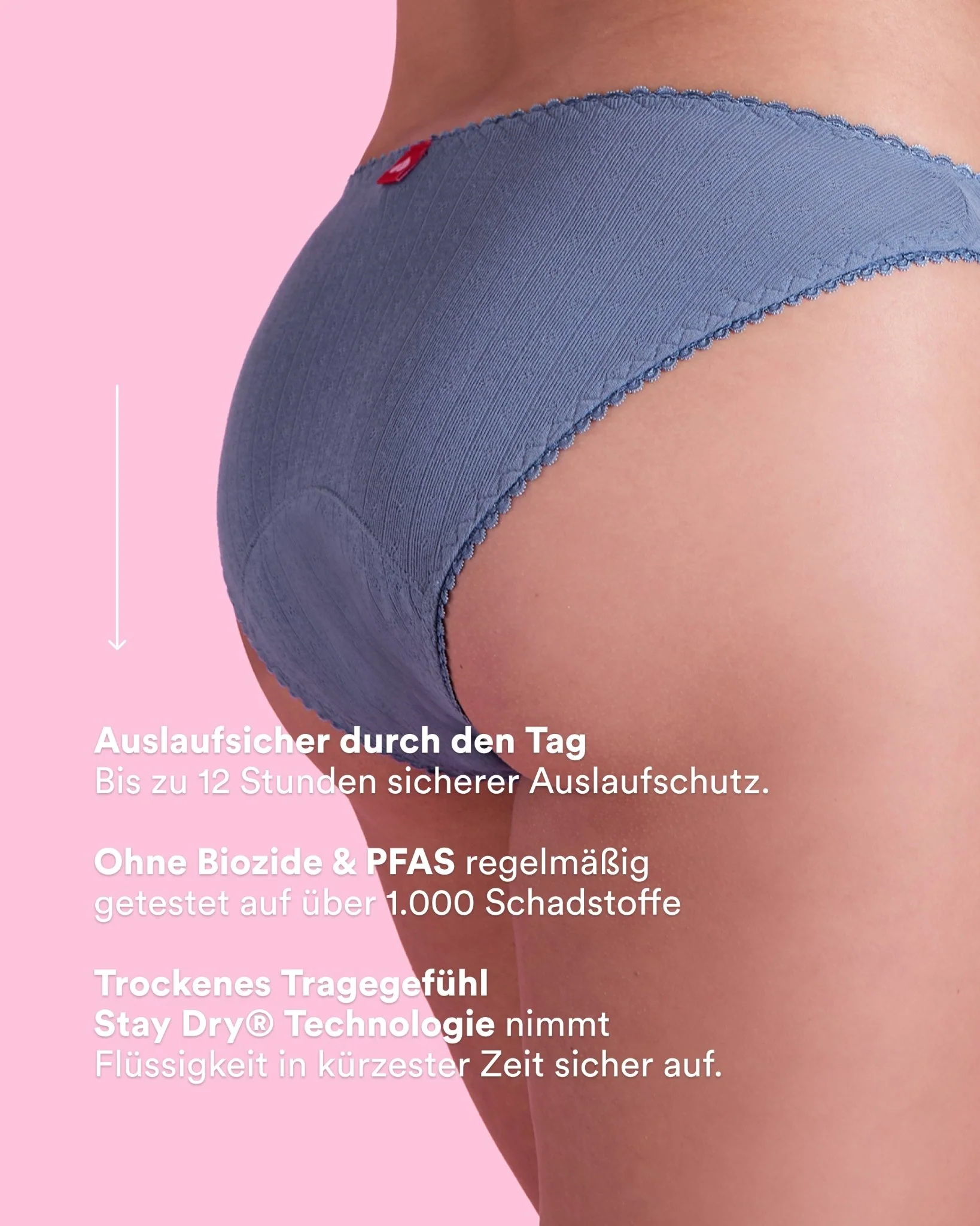 Vorschaubild 5
